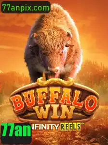 Descubra o Fascinante Mundo de BuffaloWin
